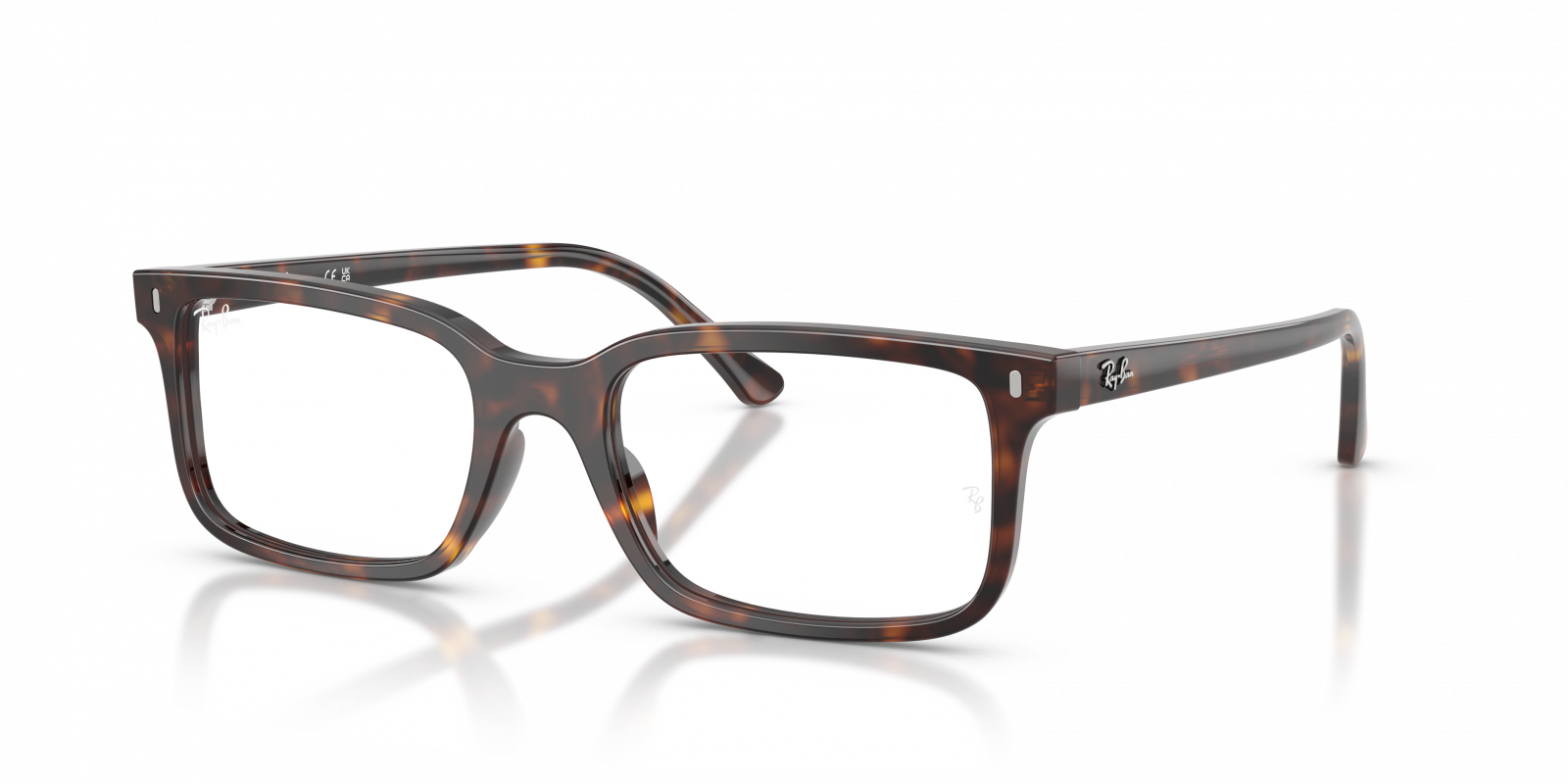 Ray Ban RX5445 2012  